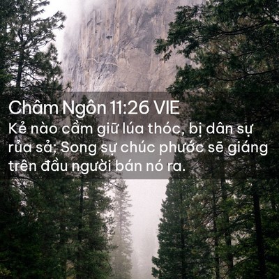 Picture 02 - Châm Ngôn 11:26 VIE - Kẻ nào cầm giữ lúa thóc, bị dân sự - Bible Verse Picture
