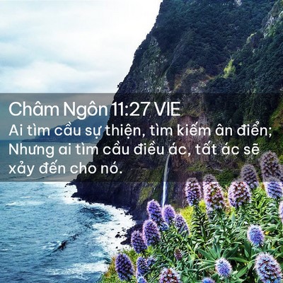Picture 02 - Châm Ngôn 11:27 VIE - Ai tìm cầu sự thiện, tìm kiếm ân - Bible Verse Picture