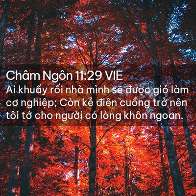 Picture 02 - Châm Ngôn 11:29 VIE - Ai khuấy rối nhà mình sẽ được gió - Bible Verse Picture