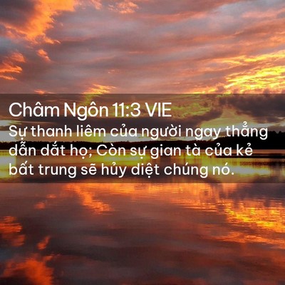 Picture 02 - Châm Ngôn 11:3 VIE - Sự thanh liêm của người ngay thẳng - Bible Verse Picture