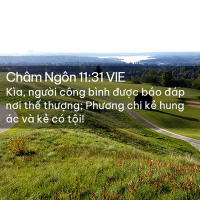 Picture 02 - Châm Ngôn 11:31 VIE - Kìa, người công bình được báo đáp - Bible Verse Picture