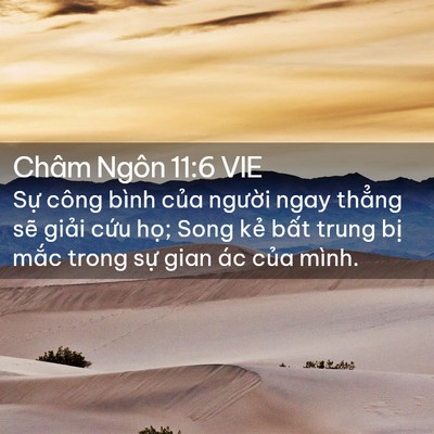 Picture 02 - Châm Ngôn 11:6 VIE - Sự công bình của người ngay thẳng sẽ - Bible Verse Picture