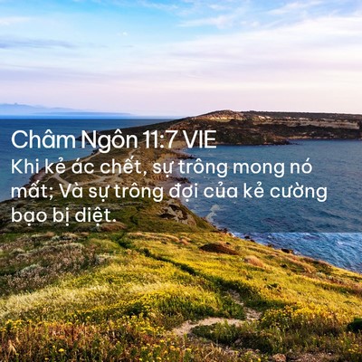 Picture 02 - Châm Ngôn 11:7 VIE - Khi kẻ ác chết, sự trông mong nó mất; - Bible Verse Picture