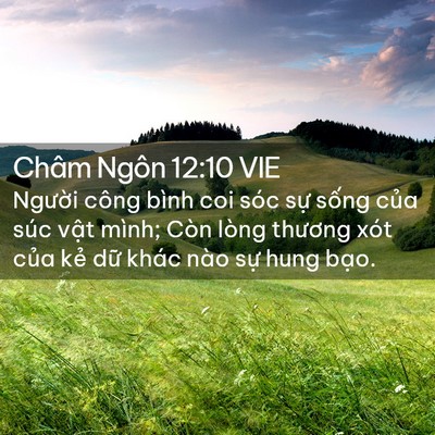 Picture 02 - Châm Ngôn 12:10 VIE - Người công bình coi sóc sự sống của - Bible Verse Picture