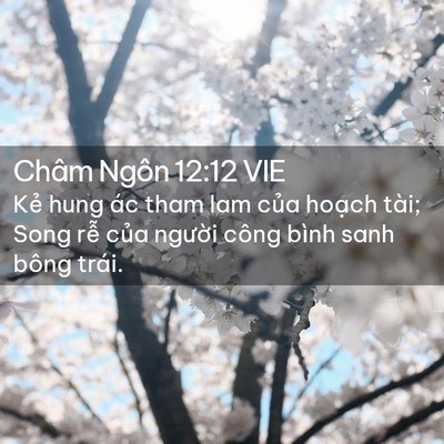 Picture 02 - Châm Ngôn 12:12 VIE - Kẻ hung ác tham lam của hoạch tài; Song - Bible Verse Picture