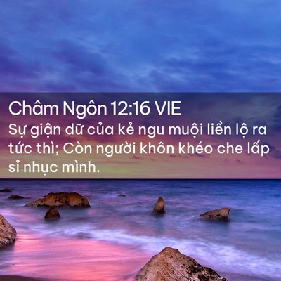 Picture 02 - Châm Ngôn 12:16 VIE - Sự giận dữ của kẻ ngu muội liền - Bible Verse Picture