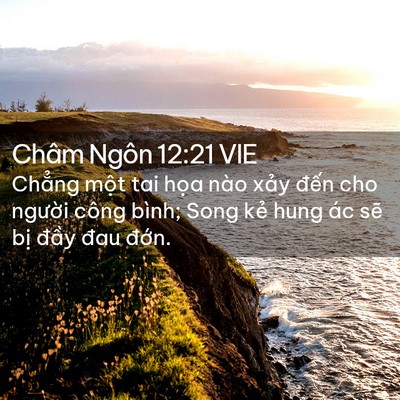 Picture 02 - Châm Ngôn 12:21 VIE - Chẳng một tai họa nào xảy đến cho - Bible Verse Picture