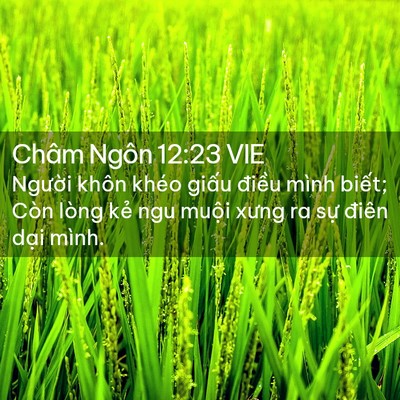 Picture 02 - Châm Ngôn 12:23 VIE - Người khôn khéo giấu điều mình biết; - Bible Verse Picture
