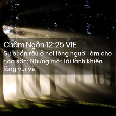 Picture 02 - Châm Ngôn 12:25 VIE - Sự buồn rầu ở nơi lòng người làm - Bible Verse Picture