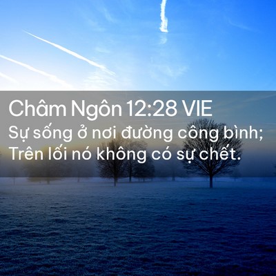 Picture 02 - Châm Ngôn 12:28 VIE - Sự sống ở nơi đường công bình; Trên - Bible Verse Picture