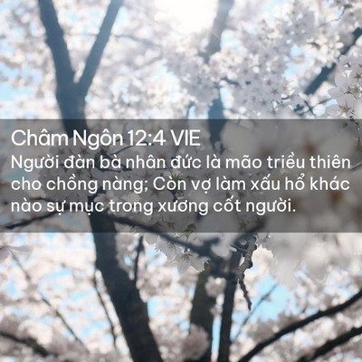 Picture 02 - Châm Ngôn 12:4 VIE - Người đàn bà nhân đức là mão triều - Bible Verse Picture