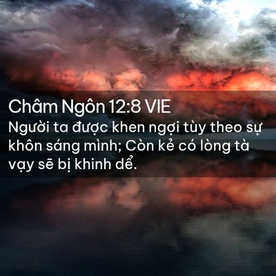Picture 02 - Châm Ngôn 12:8 VIE - Người ta được khen ngợi tùy theo sự - Bible Verse Picture