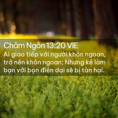 Picture 02 - Châm Ngôn 13:20 VIE - Ai giao tiếp với người khôn ngoan, trở - Bible Verse Picture