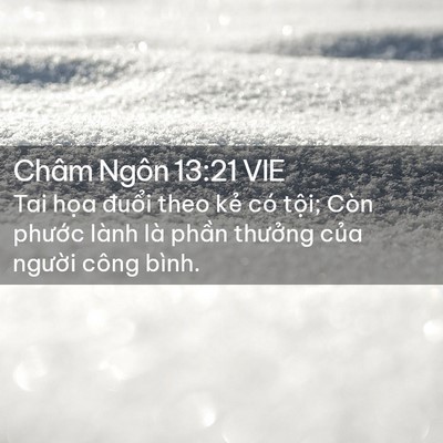 Picture 02 - Châm Ngôn 13:21 VIE - Tai họa đuổi theo kẻ có tội; Còn - Bible Verse Picture