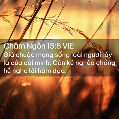 Picture 02 - Châm Ngôn 13:8 VIE - Giá chuộc mạng sống loài người, ấy - Bible Verse Picture
