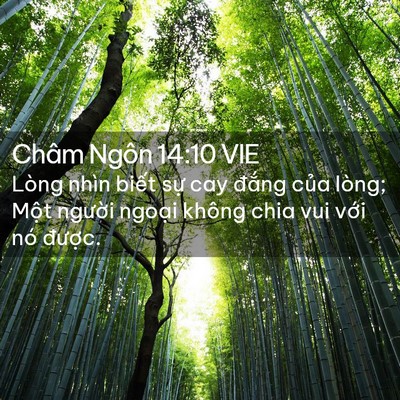 Picture 02 - Châm Ngôn 14:10 VIE - Lòng nhìn biết sự cay đắng của lòng; - Bible Verse Picture
