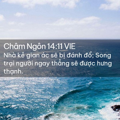 Picture 02 - Châm Ngôn 14:11 VIE - Nhà kẻ gian ác sẽ bị đánh đổ; Song - Bible Verse Picture