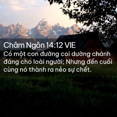 Picture 02 - Châm Ngôn 14:12 VIE - Có một con đường coi dường chánh - Bible Verse Picture
