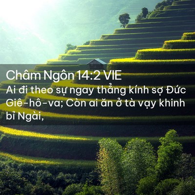 Picture 02 - Châm Ngôn 14:2 VIE - Ai đi theo sự ngay thẳng kính sợ Đức - Bible Verse Picture