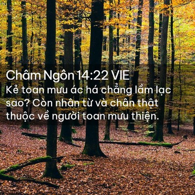 Picture 02 - Châm Ngôn 14:22 VIE - Kẻ toan mưu ác há chẳng lầm lạc sao? - Bible Verse Picture