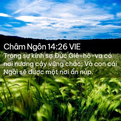 Picture 02 - Châm Ngôn 14:26 VIE - Trong sự kính sợ Đức Giê-hô-va có nơi - Bible Verse Picture