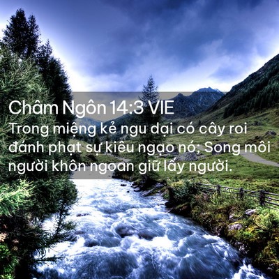 Picture 02 - Châm Ngôn 14:3 VIE - Trong miệng kẻ ngu dại có cây roi đánh - Bible Verse Picture