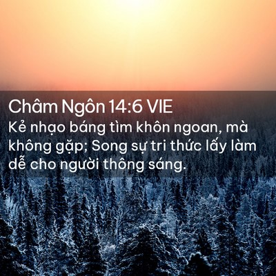 Picture 02 - Châm Ngôn 14:6 VIE - Kẻ nhạo báng tìm khôn ngoan, mà không - Bible Verse Picture