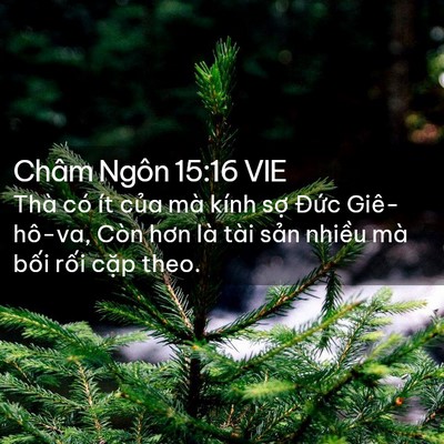 Picture 02 - Châm Ngôn 15:16 VIE - Thà có ít của mà kính sợ Đức - Bible Verse Picture