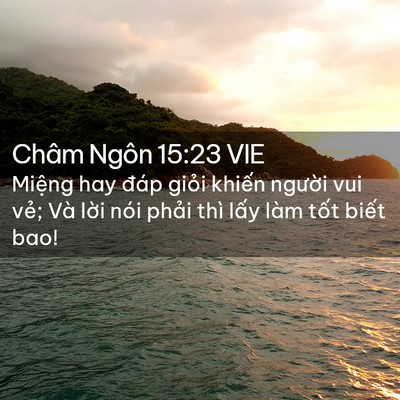 Picture 02 - Châm Ngôn 15:23 VIE - Miệng hay đáp giỏi khiến người vui - Bible Verse Picture