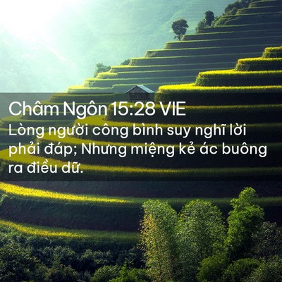 Picture 02 - Châm Ngôn 15:28 VIE - Lòng người công bình suy nghĩ lời phải - Bible Verse Picture