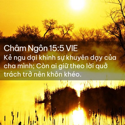 Picture 02 - Châm Ngôn 15:5 VIE - Kẻ ngu dại khinh sự khuyên dạy của cha - Bible Verse Picture