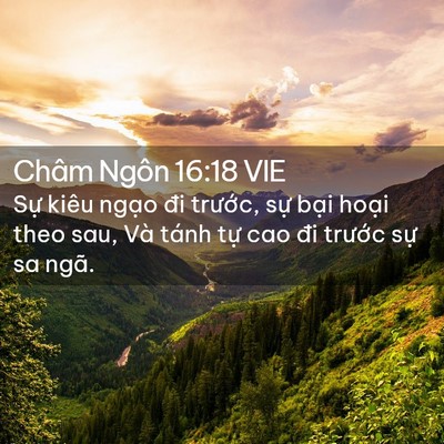 Picture 02 - Châm Ngôn 16:18 VIE - Sự kiêu ngạo đi trước, sự bại hoại - Bible Verse Picture