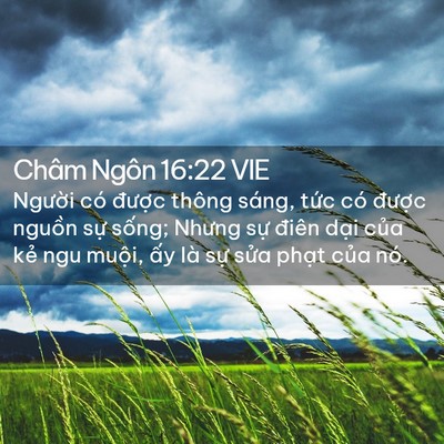 Picture 02 - Châm Ngôn 16:22 VIE - Người có được thông sáng, tức có - Bible Verse Picture