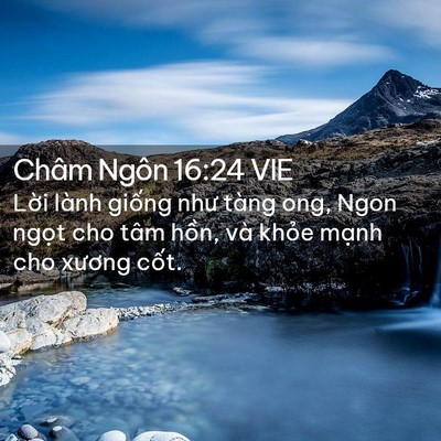 Picture 02 - Châm Ngôn 16:24 VIE - Lời lành giống như tàng ong, Ngon ngọt - Bible Verse Picture