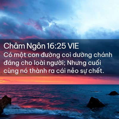 Picture 02 - Châm Ngôn 16:25 VIE - Có một con đường coi dường chánh - Bible Verse Picture