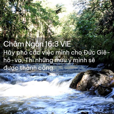 Picture 02 - Châm Ngôn 16:3 VIE - Hãy phó các việc mình cho Đức - Bible Verse Picture