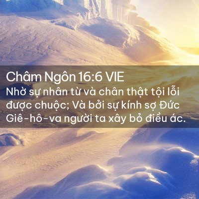 Picture 02 - Châm Ngôn 16:6 VIE - Nhờ sự nhân từ và chân thật tội - Bible Verse Picture