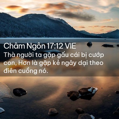Picture 02 - Châm Ngôn 17:12 VIE - Thà người ta gặp gấu cái bị cướp - Bible Verse Picture