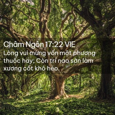 Picture 02 - Châm Ngôn 17:22 VIE - Lòng vui mừng vốn một phương thuốc - Bible Verse Picture
