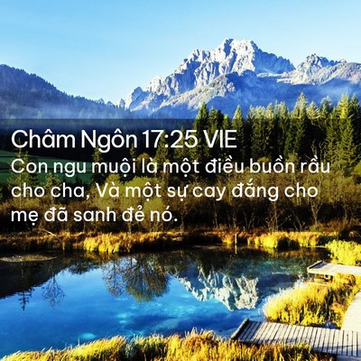 Picture 02 - Châm Ngôn 17:25 VIE - Con ngu muội là một điều buồn rầu cho - Bible Verse Picture