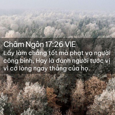 Picture 02 - Châm Ngôn 17:26 VIE - Lấy làm chẳng tốt mà phạt vạ người - Bible Verse Picture
