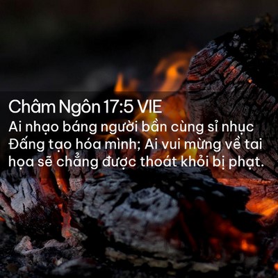 Picture 02 - Châm Ngôn 17:5 VIE - Ai nhạo báng người bần cùng sỉ nhục - Bible Verse Picture