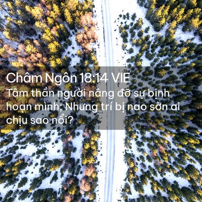 Picture 02 - Châm Ngôn 18:14 VIE - Tâm thần người nâng đỡ sự bịnh - Bible Verse Picture