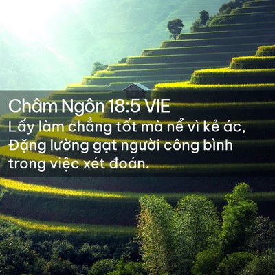 Picture 02 - Châm Ngôn 18:5 VIE - Lấy làm chẳng tốt mà nể vì kẻ ác, - Bible Verse Picture