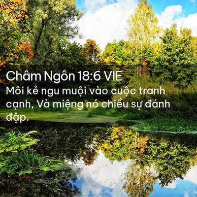 Picture 02 - Châm Ngôn 18:6 VIE - Môi kẻ ngu muội vào cuộc tranh cạnh, - Bible Verse Picture