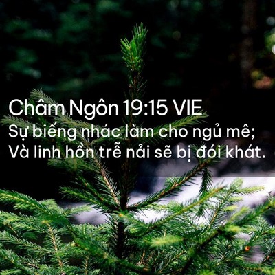 Picture 02 - Châm Ngôn 19:15 VIE - Sự biếng nhác làm cho ngủ mê; Và linh - Bible Verse Picture
