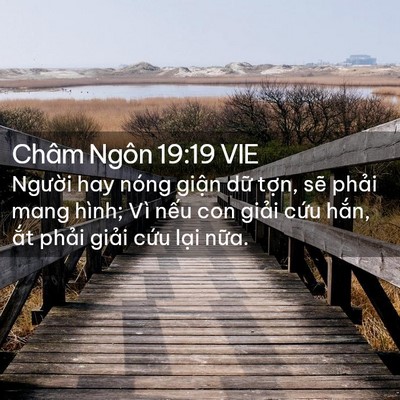 Picture 02 - Châm Ngôn 19:19 VIE - Người hay nóng giận dữ tợn, sẽ phải - Bible Verse Picture