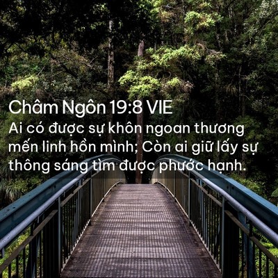 Picture 02 - Châm Ngôn 19:8 VIE - Ai có được sự khôn ngoan thương mến - Bible Verse Picture
