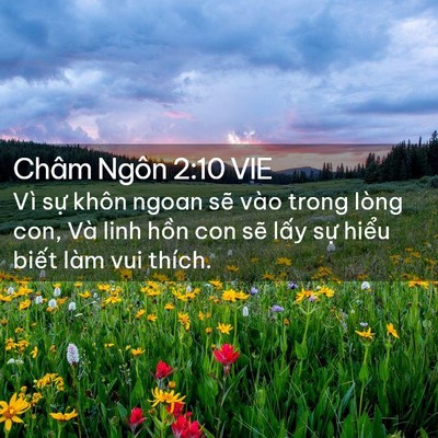 Picture 02 - Châm Ngôn 2:10 VIE - Vì sự khôn ngoan sẽ vào trong lòng con, - Bible Verse Picture