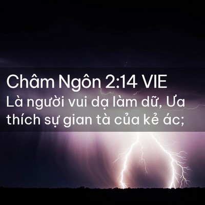 Picture 02 - Châm Ngôn 2:14 VIE - Là người vui dạ làm dữ, Ưa thích sự - Bible Verse Picture
